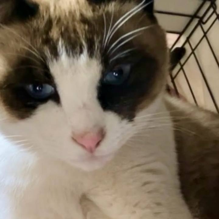 34d3d1be d975 4ad8 9c50 62ae99a9465f 1735473609774