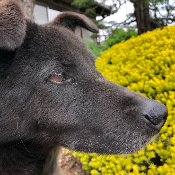 34d402ab f1d3 4bc2 a939 c93e257cc7d1 1556968551199