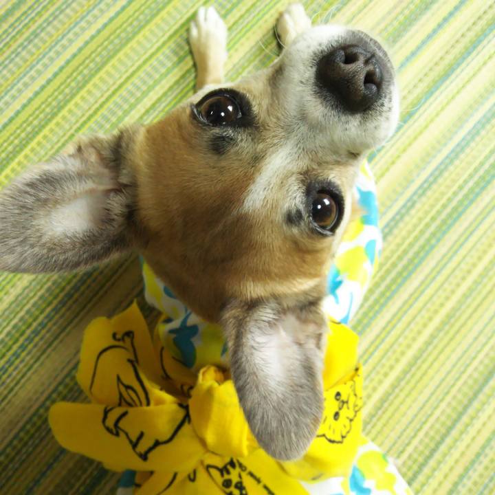 34d52d65 fefb 4376 9d11 9ec76d9a770e 1625513331205