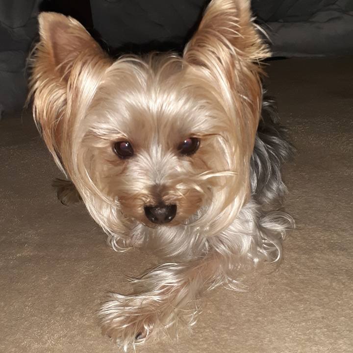 34d55521 5504 4d6a b3ef ebac63ad0075 1638616419768