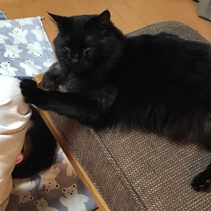 34d58c2d 983b 4880 b003 b065d48453f6 1523360336117