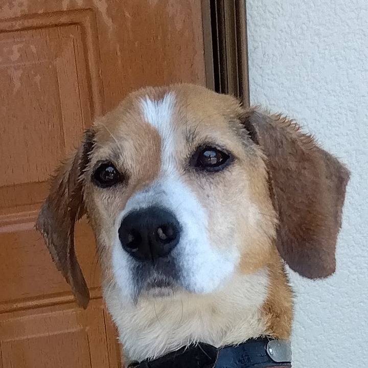 34d5b3b3 e990 4826 99bf bb4c3b8db190 1687005939250