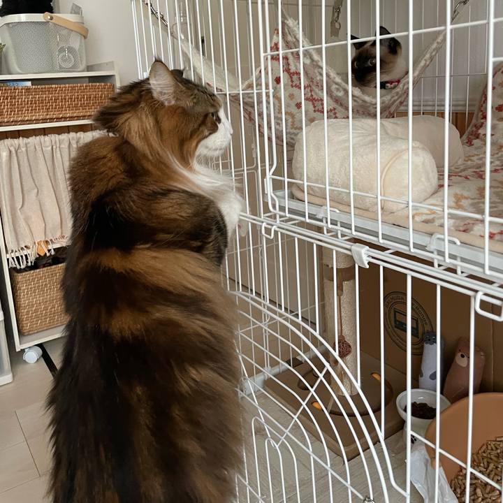 34d5e41a f061 4c5b b913 d681ffaaff7d 1708584824641