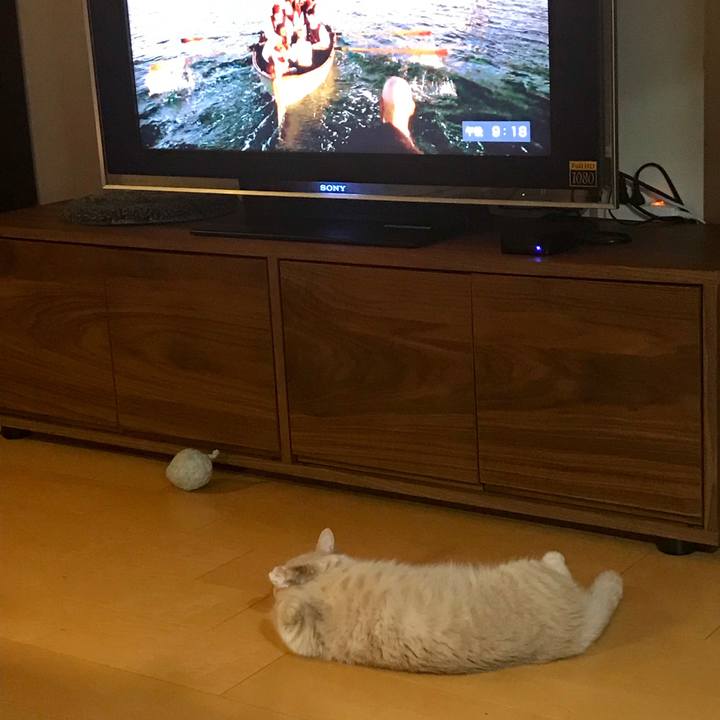 34d5e479 3085 4f22 b821 275ea53d55fd 1567924352854