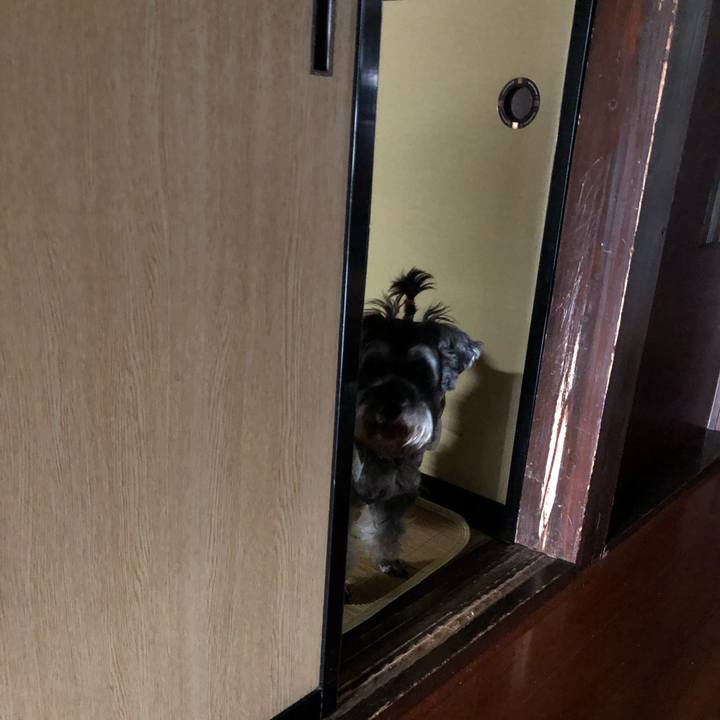 34d5f3d2 26cf 4bdd ba15 c3828e4c7588 1565158996795