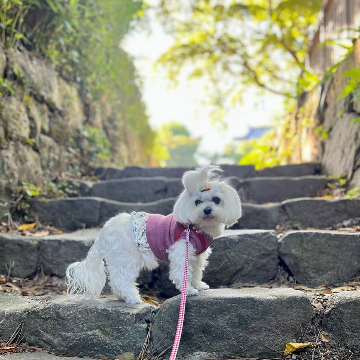 34d609ca 0207 432c 88c6 afe04ae80b33 1764052624733