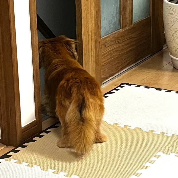 34d613bd 2f20 401b a74b ec7ec3a0f630 1683809254281