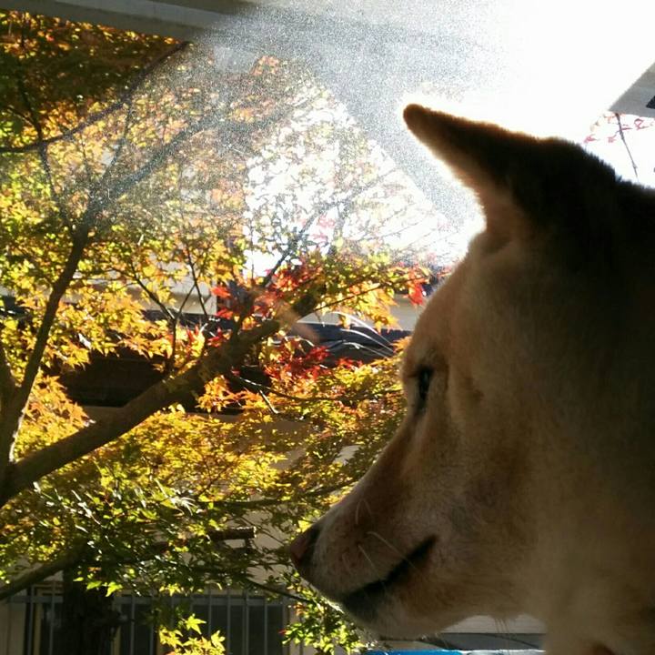 34d6362d 76bb 4ecb b593 cede5d2f28ab 1511666605992