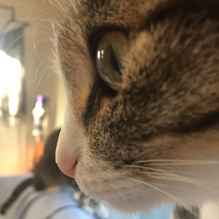 34d64035 4209 4a14 8b83 17d3f4fa443c 1689391801389