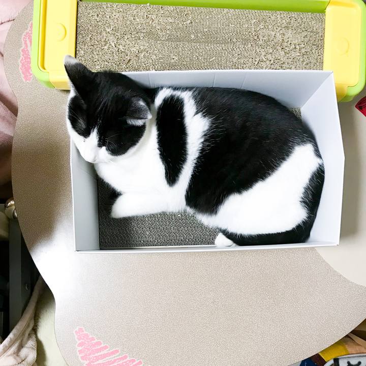 34d640dc 9740 4ec9 974e 0866e3093811 1515329440279