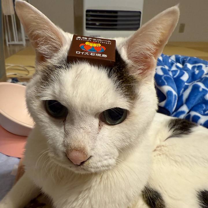 34d6dfce 0fab 41d3 bba6 2f3a702865f4 1767868697511