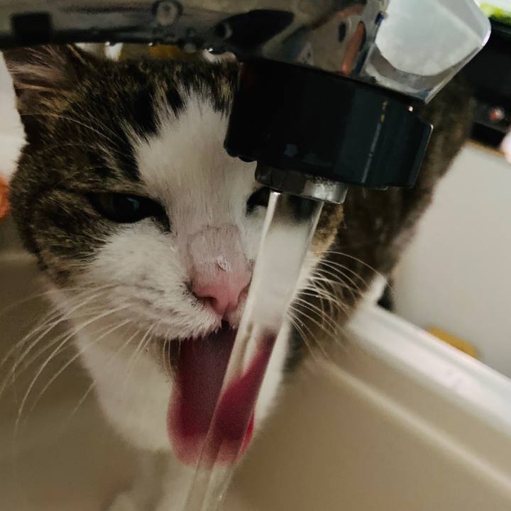 34d70525 175a 49eb 981b 7c58e5a04272 1572778322519