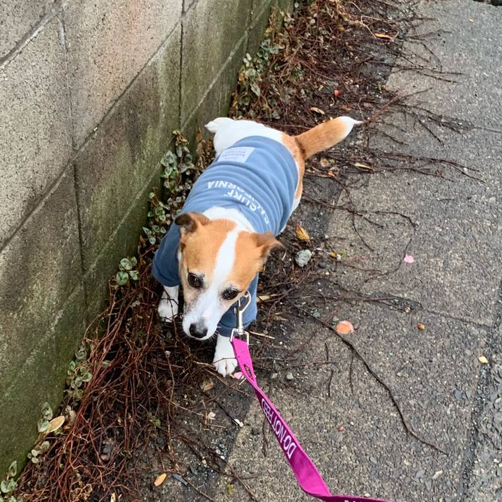 34d70961 fd44 4d8f 8fa6 2f16be29e234 1616307940760