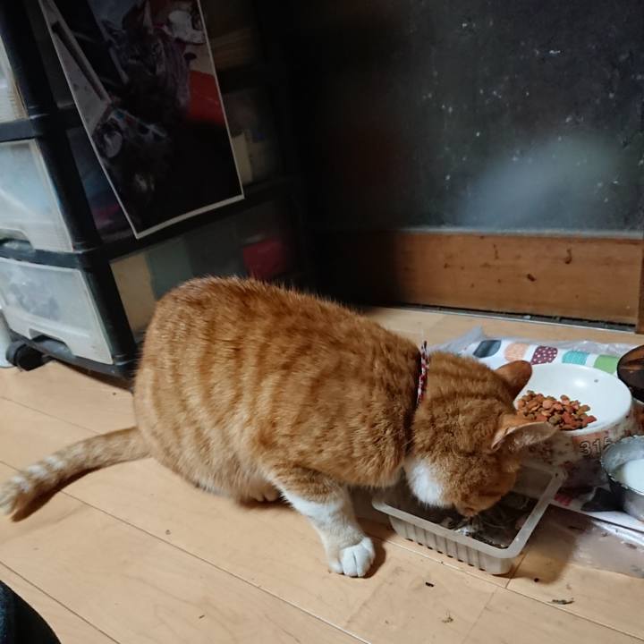 34d710b3 82c7 4ed3 89cd 4aff075bd485 1607333942213