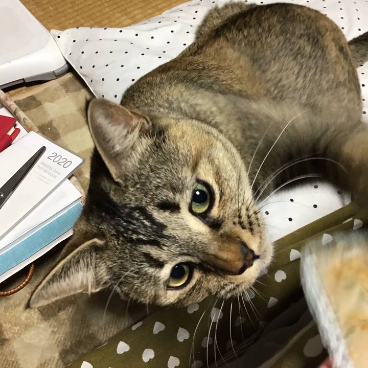 34d75dbc 798a 4ce3 b3e1 3ab7b9934dbb 1582192695880