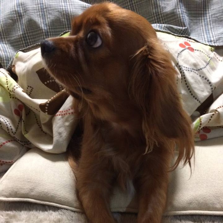 34d77ea0 bd9f 4ad3 8179 c76fa1012aa1 1512683652318