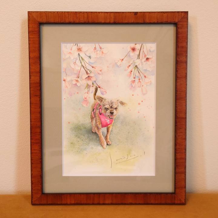 34d7827f f6dc 470f afc7 b81192cc112b 1696325963105