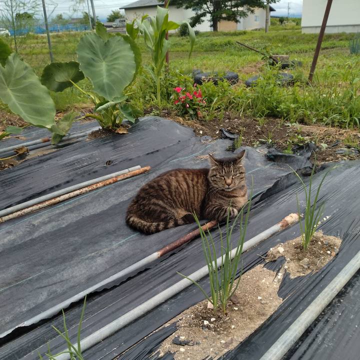 34d7bd1c c3a6 4917 bc86 78acb99fab6b 1688893711867