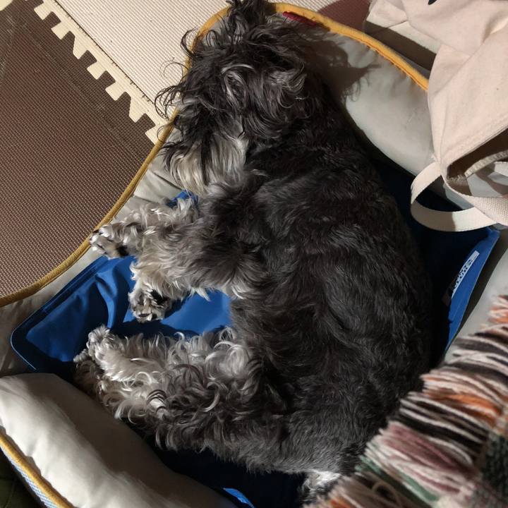 34d7c911 fe45 4e42 b0ca 6e3fa517658c 1530969678497