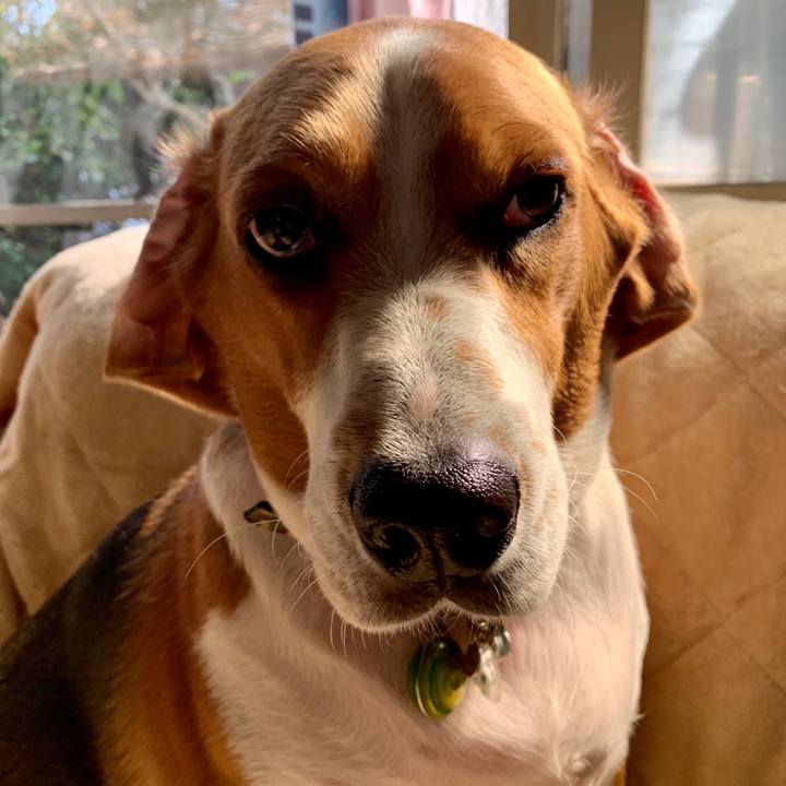 34d7d847 f65b 4ed1 a3e8 f024cbcbcdd9 1588942918060