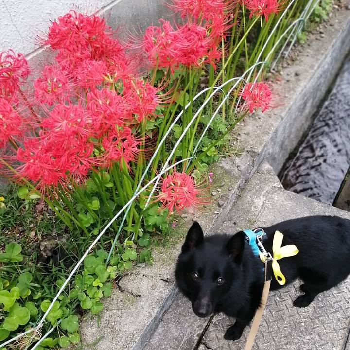 34d7dc1e 23e6 459a a1a7 7767d7b95406 1664313861876