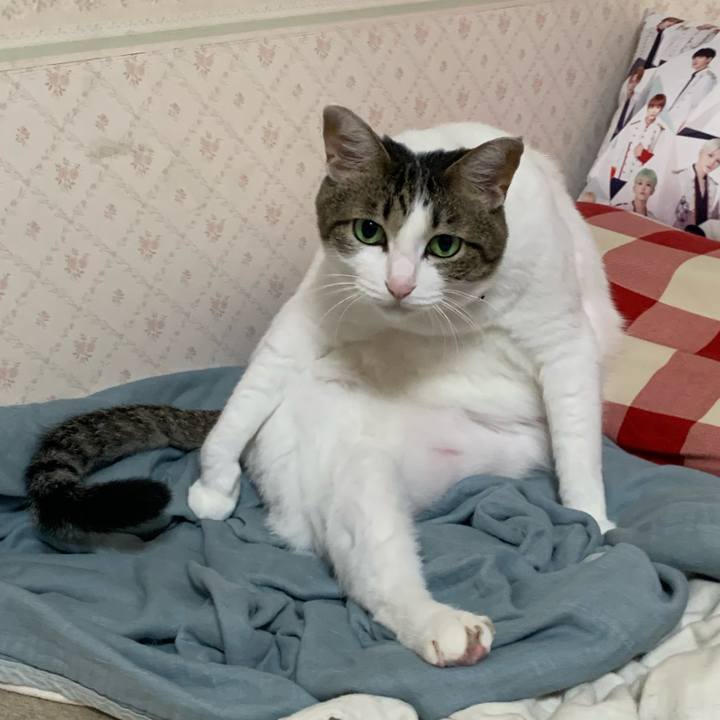 34d80085 01c8 4327 9e9c 4280b4e66257 1626535161832