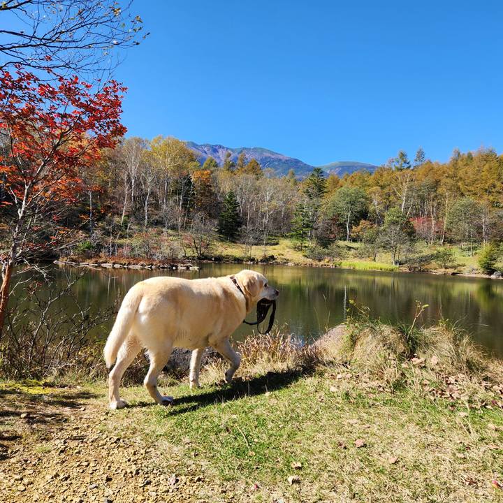 34d80783 65b5 46ce 8c48 f334caf6cad0 1761213537347