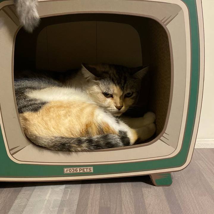 34d814bb a989 4e68 b894 e99f5e166142 1633518258465