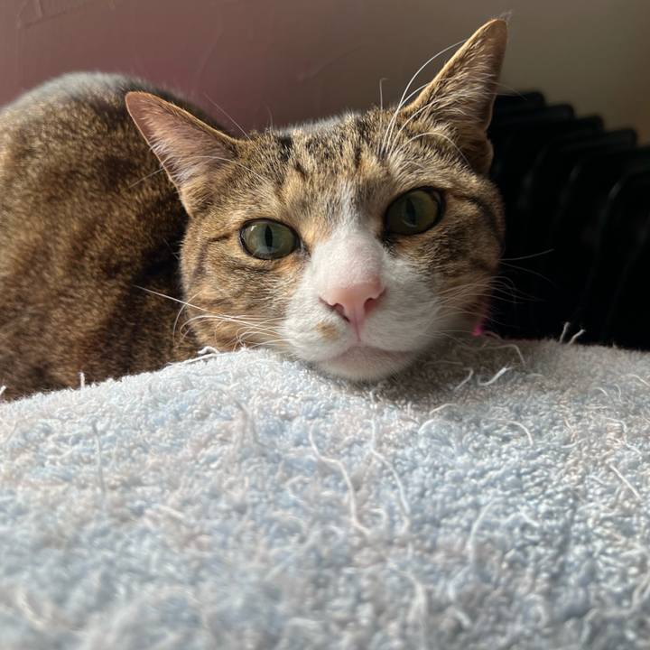 34d816fe 334f 4343 a38b e94b638b5fe0 1715573234749