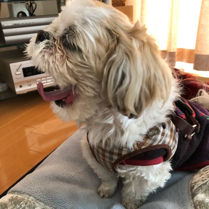 34d81d0b c6c8 4bf8 adb9 1e4369dcc096 1518644885454