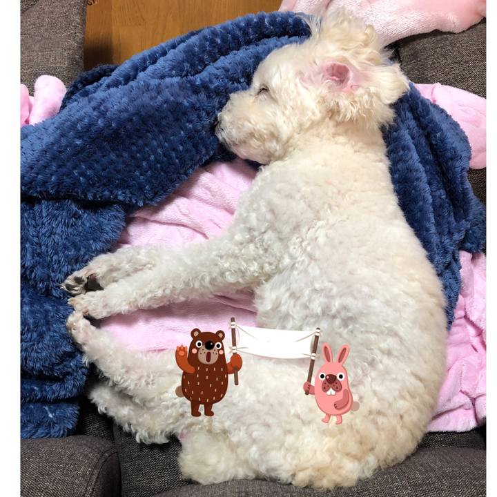 34d85966 cff9 4bc6 bcad 21558ed82c39 1543932914997