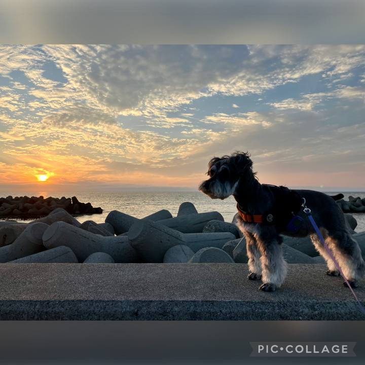 34d89579 d57c 47eb 9c62 751defe5e1c1 1751205356892