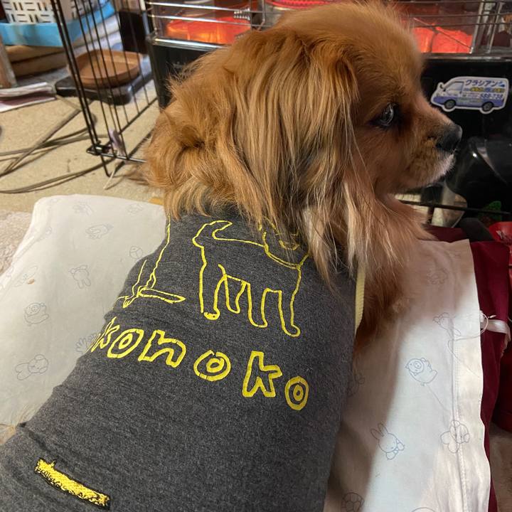 34d8a3bc 54ac 421b ba0a 0ba16fc366da 1646343823482