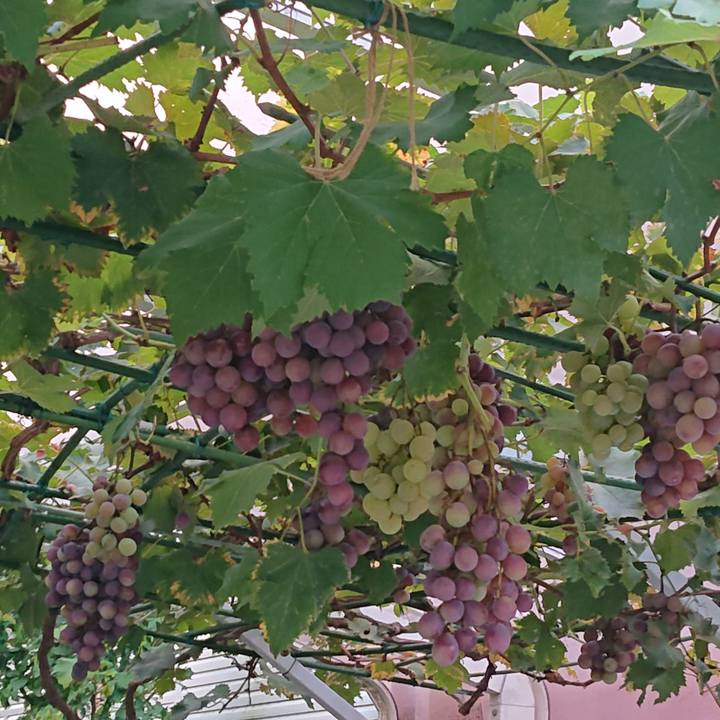 34d8a43f 404e 44e9 9a72 988918e88eda 1568067964829