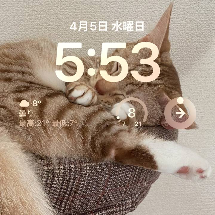 34d8f5f8 ef9a 45fa 90d5 52789ceb217b 1680648000541