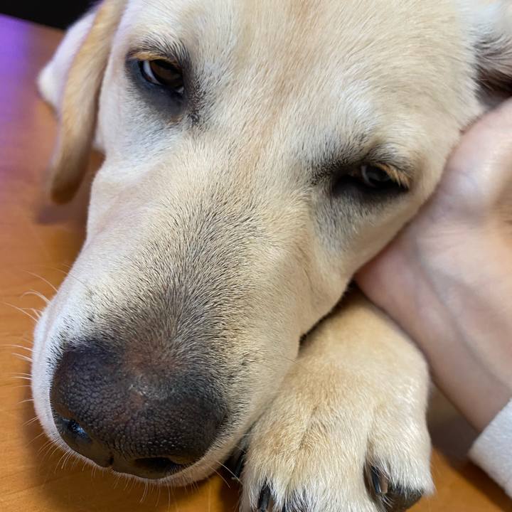 34d917c7 9586 43f7 b5b1 0bb8f9a2fff6 1619651326573