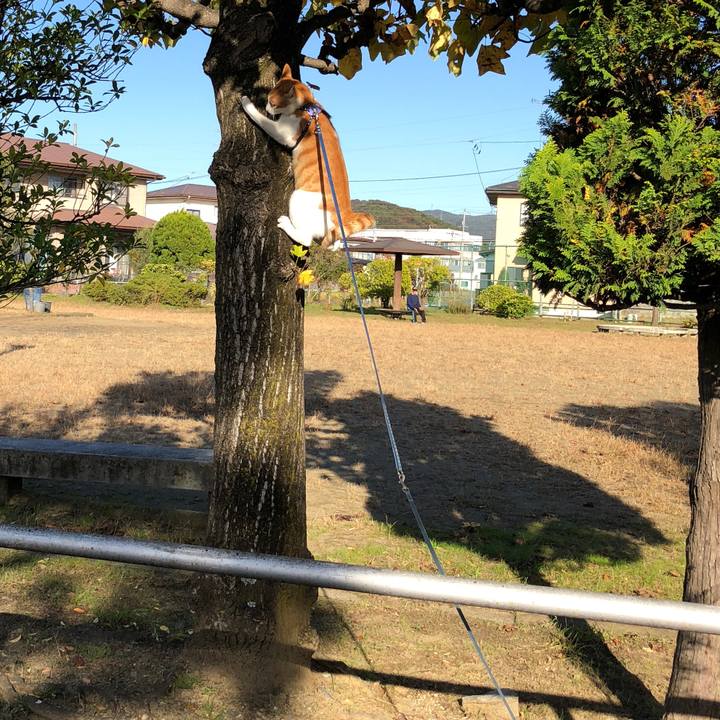 34d919e8 396f 42e8 aa96 9f0c2b7b3c9a 1540793997926