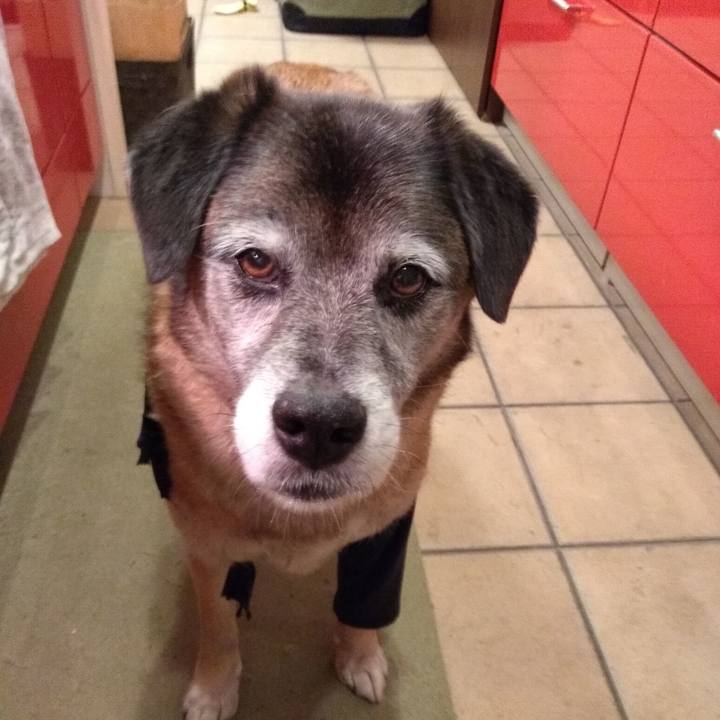 34d924ea a4be 45c5 91c7 91422660af2f 1560697471742