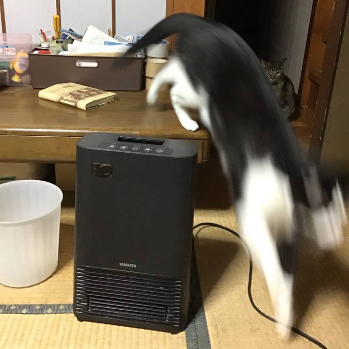 34d930d9 6806 42ac be79 cf4563b064ed 1763120940650