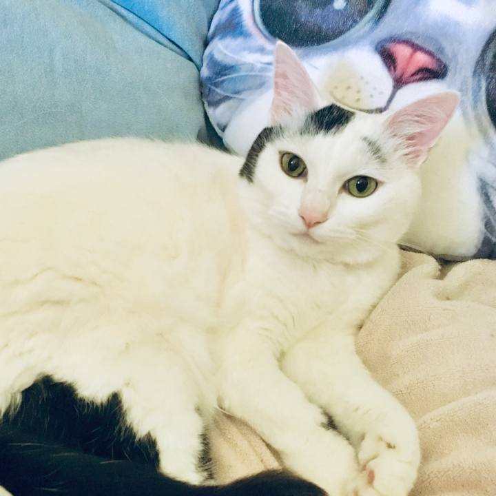 34d93319 88d6 4339 99af 02f8a0f8d286 1561516956705