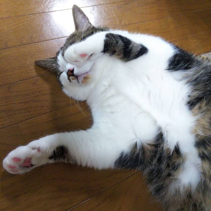 34d96d83 fb33 42dd b77f 18a53b959443 1657196111736