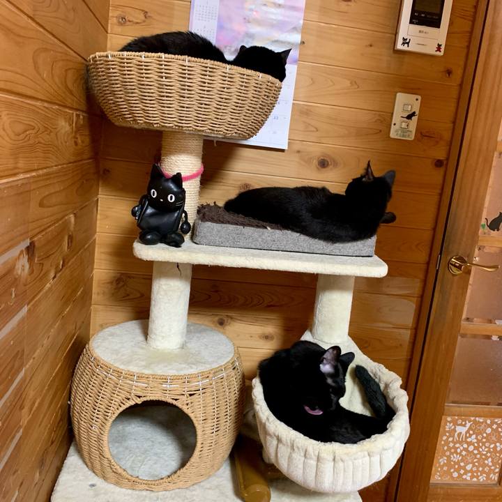 34d97583 87a2 45ab 8692 17026eae277c 1649748329408