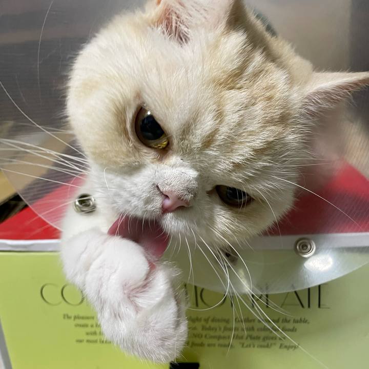 34d9e862 6f1c 40c9 a8af 0240e08fd95a 1753365255664