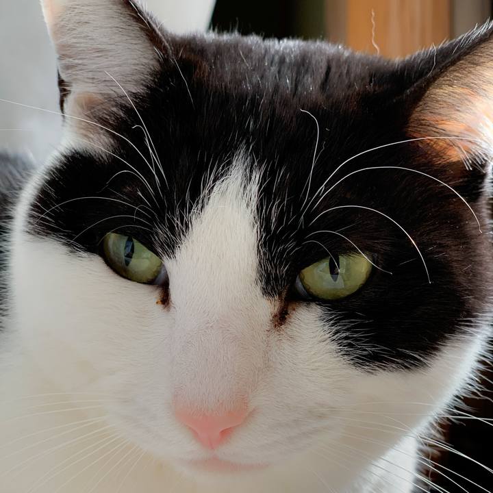 34da3ce7 9e8f 419d abca ad8896ace392 1586222880022