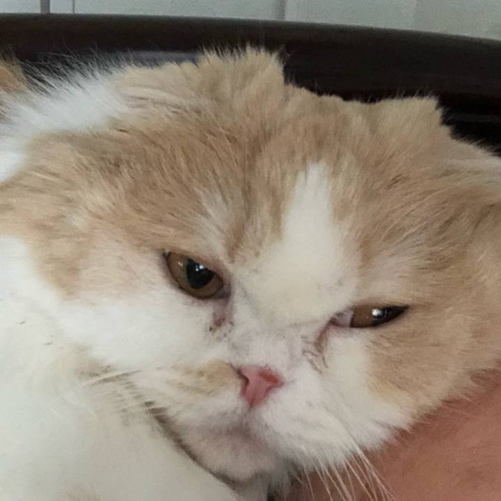 34da584a 1bbd 42ea b200 cea2b97a344a 1616196002005