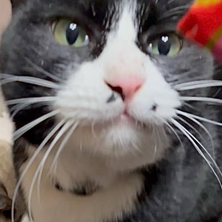 34da5e5e 65ee 47b8 828f 3f0aa852c18e 1773494868852