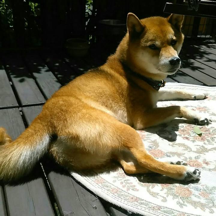 34da7507 8306 4f73 a0f9 6b9730884383 1564196398588