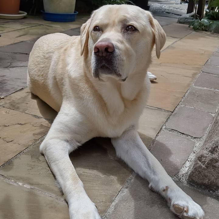 34dabe6d 03a8 482e 9cba 1e7a41b1d358 1599707622845