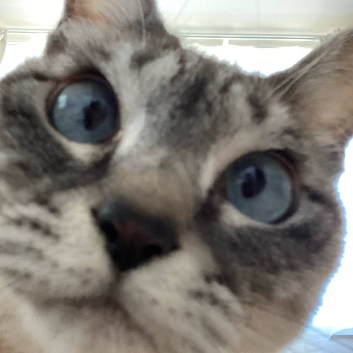 34dae176 b222 48ed bd7a 09495b482790 1709953251263