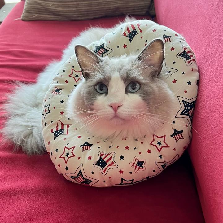 34daf703 4db5 420a be37 02f237ec5b26 1641098043533